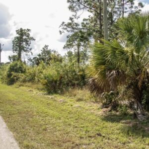 Lehigh Acres, Florida (Lee County) - APN 12452707000310340